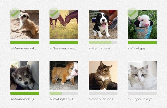 Open Source Drag & Drop File Uploads with Dropzone.js