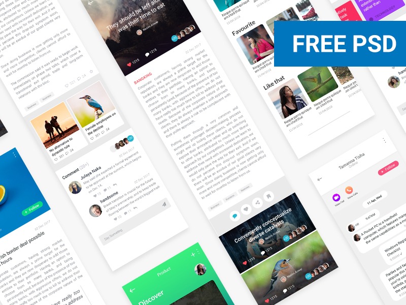 News Feed UI Design