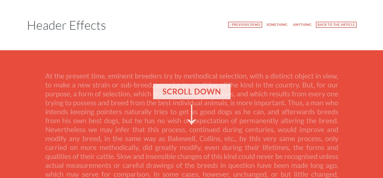On Scroll Header Effects Tutorial