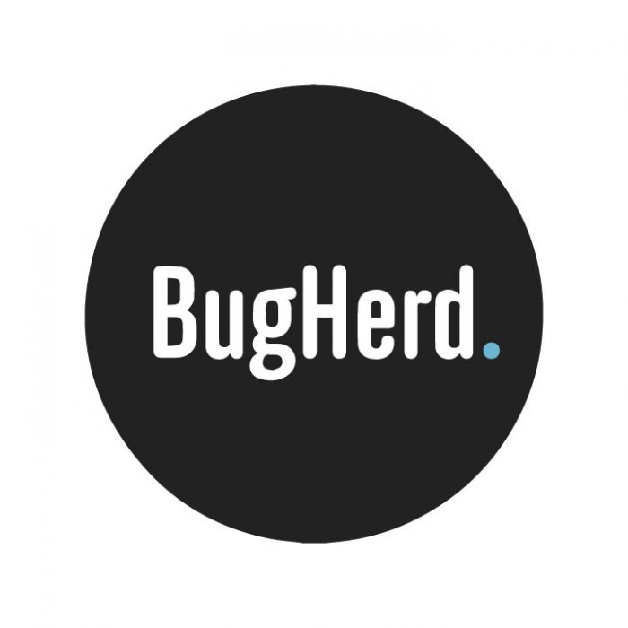 BugHerd: The Easiest Way To Collect and Manage Website Feedback