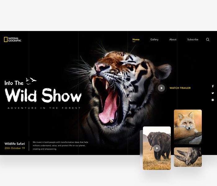 National Geographic Wildlife Website Template