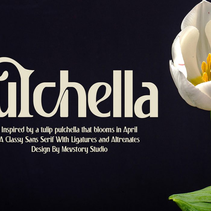 Pulchella Display: Serif Font