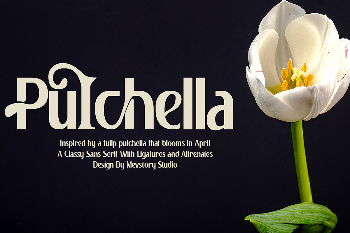 Pulchella Display: Serif Font