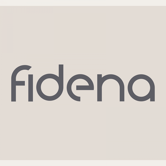 Fidena: A Display Sans Serif Font